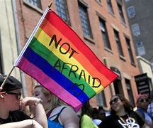 Image result for LGBTQ Allies
