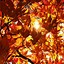 Image result for Autumn Phone Poster
