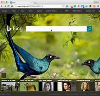 Image result for Best Bing Homepage