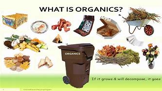 Image result for Organic Food Waste