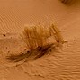 Image result for Middle East Desert Landscape