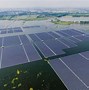 Image result for Solar Farm Surabaya