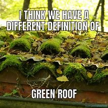 Image result for Green Roof Meme