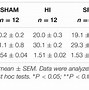 Image result for iphone se vs 5s