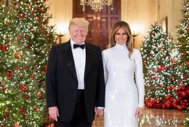 Image result for Melania Trump Official White House Portrait