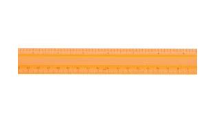 Image result for 12 Inch Ruler
