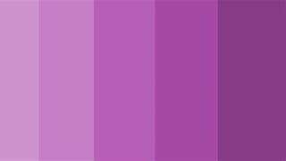 Image result for Paleta De Colores Morado