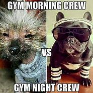 Image result for Gym On a Cold Morning Meme