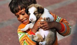 Image result for Kindness towards Animals