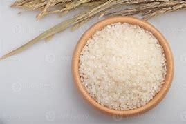 Image result for Japanese Rice Grain Vector