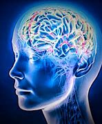 Image result for Brain Memory Cells