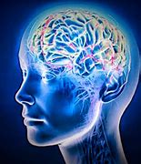 Image result for Memory Cells in Brain