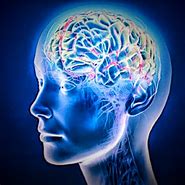 Image result for Memory Areas Ofthe Brain