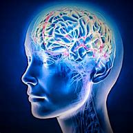 Image result for Brain with Memory