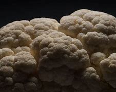 Image result for Genital Warts Cauliflower