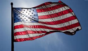 Image result for Red American Flag Logo