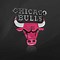 Image result for Chicago Bulls Cool Logo