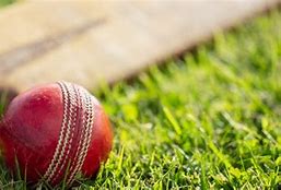 Image result for Cricket Pitch Labelled