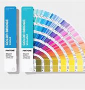 Image result for Pantone 100