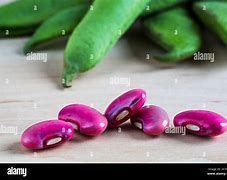 Image result for Purple Bean Pod