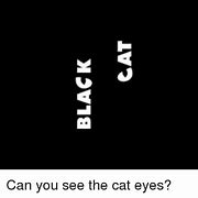 Image result for Black Eye Meme