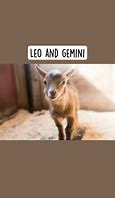 Image result for Zodiac Signs Farms