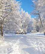 Image result for Best Winter Backgrounds