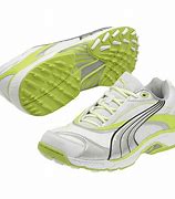 Image result for Gripper Shoes