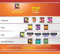 Image result for Sony TV Channel