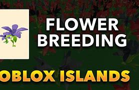 Image result for Islands Flower Breeding Chart
