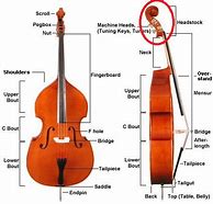 Image result for Bass Violin