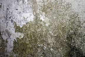 Image result for Dirty Home Texture