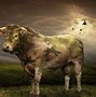 Image result for Funny Holstein Cows