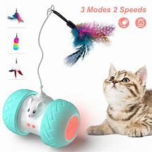 Image result for Cat Toys That Work