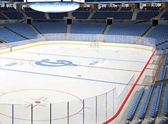 Image result for Synthetic Ice Hockey Field