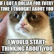 Image result for Grumpy Cat Memes About Money