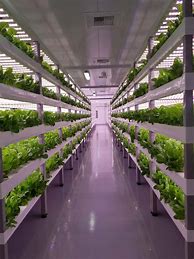 Image result for Automated Agriculture