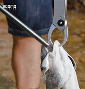 Image result for Fish Hook Remover