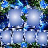 Image result for Round Collage Picture Frames