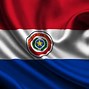 Image result for Paraguay Flag Back