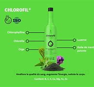 Image result for chlorofile