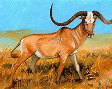 Image result for 10,000 BC Animals