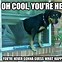 Image result for Funny Conniving Dog Memes