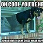 Image result for Funny Pic of All Time