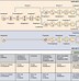 Image result for Synapsis of Zygotene