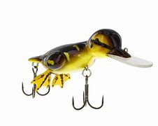 Image result for Duck Lure
