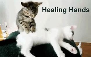 Image result for Heal Quick Meme