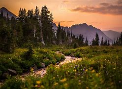 Image result for Mountains in Montana