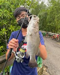 Image result for Fishing Line Singapore Hook