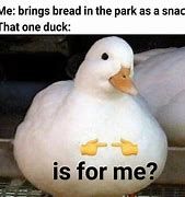 Image result for Is It for Me Meme